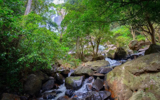 Ella Waterfall View