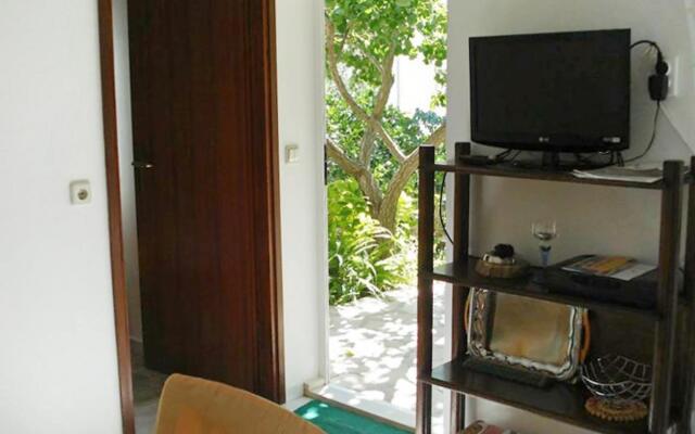 Milo - 50m From the sea - A1