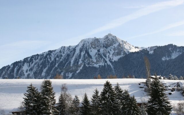 Castel Club Leysin Parc Resort