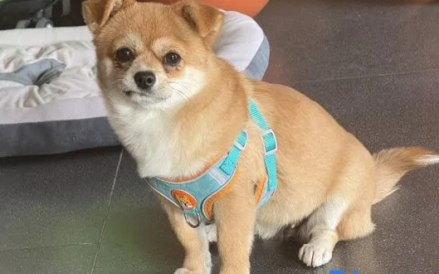 Sparkling Legend  Apartment