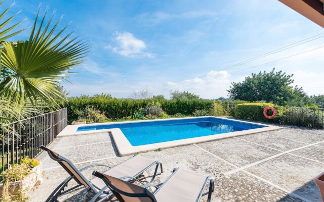 Can Gallu - Adults Only