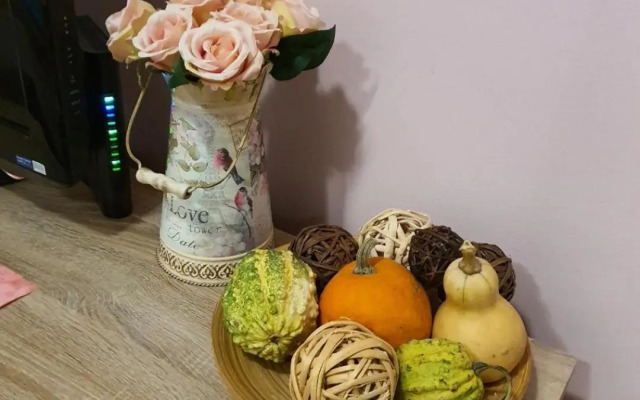 Studio Apartman Ld U Strogom Centru