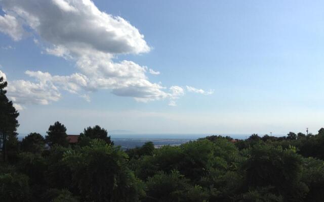 Borgo San Pecoraio
