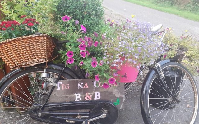 Tig na Coille B&B Country House