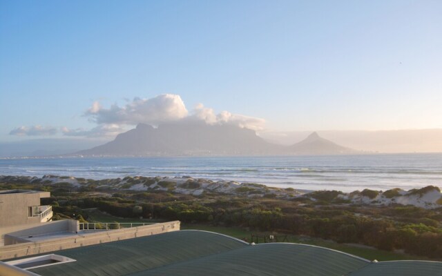 Dolphin Beachfront Condo