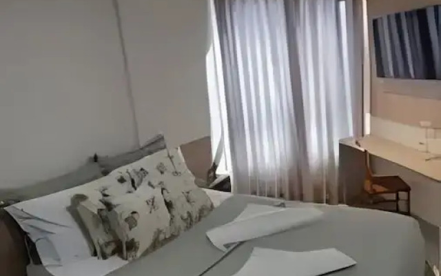 Studio Design 3 - Lions