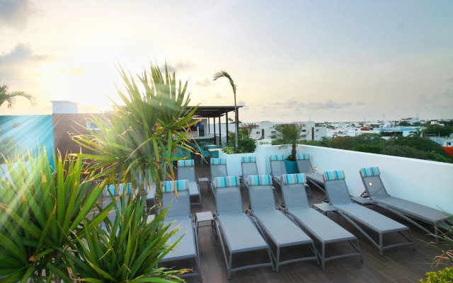 The Gallery Apartments