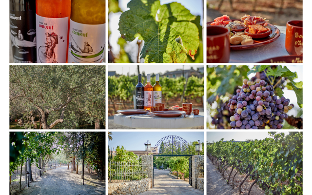 Sa Vinya des Convent Agroturismo