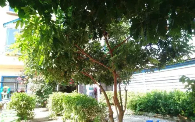 Misty Mountain Chu Hai