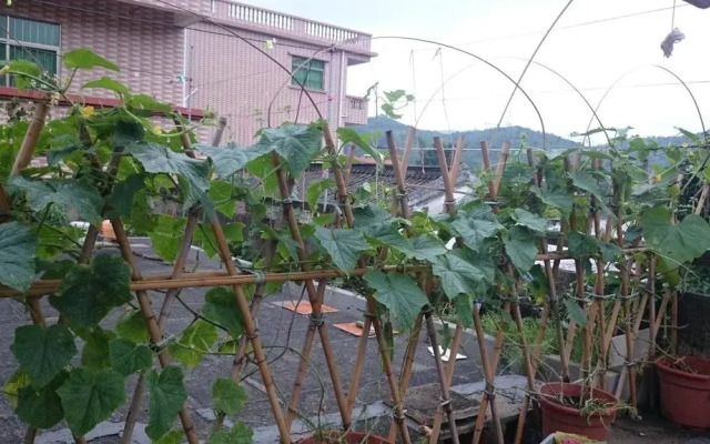 Rose Inn Shenzhen