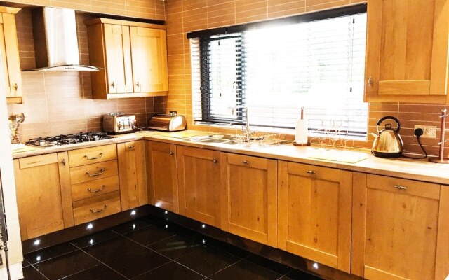 Deluxe Contemporary House - DHH