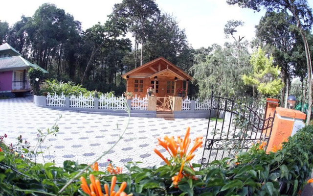 Rainforest Munnar
