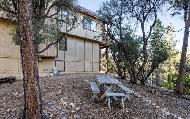 TreeHouse on Rainbow