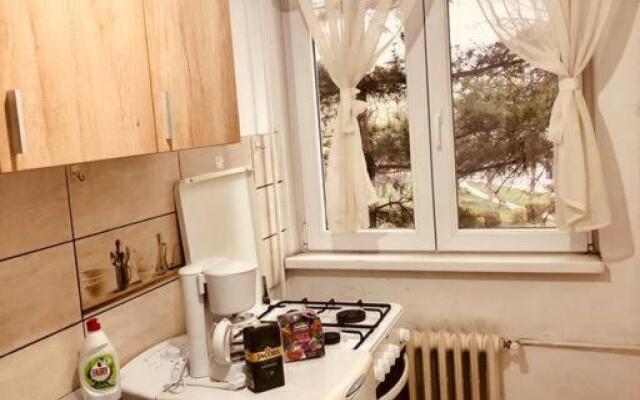 Nice apt near Spitalul Judetean, all you need LR14