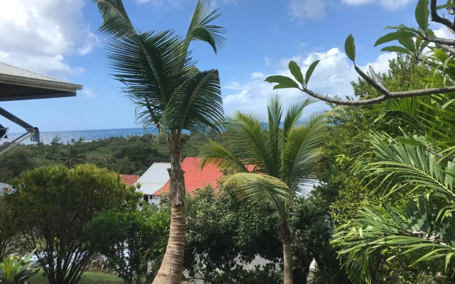 Belfond-Tropical