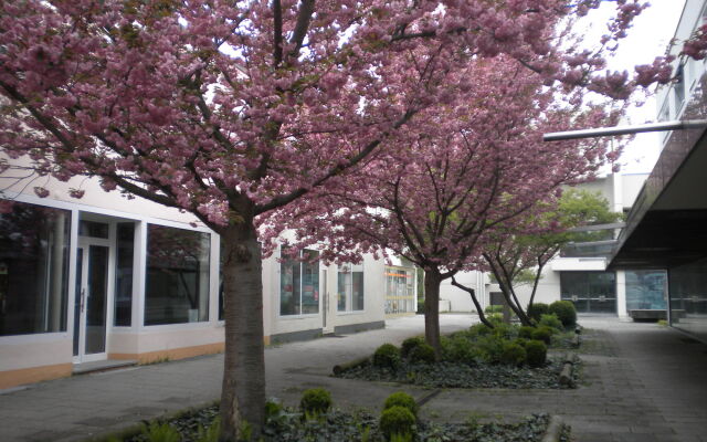 Hotel Lindleinsmühle