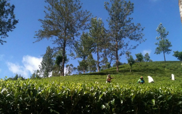 Subash Hotel