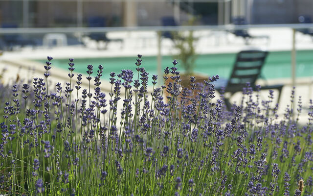 Cit’Hotel Les Alizes