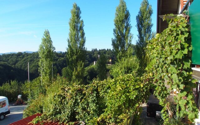 Weingut Winzerzimmer Toso