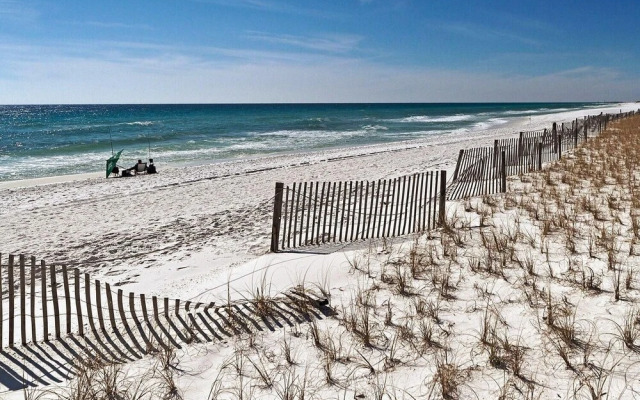 Blue Suede Shoes - 2 Br Condo