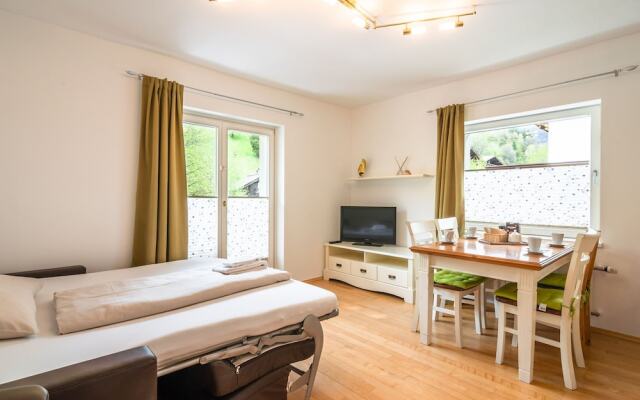 Cozy Apartment near Ski Area in Zell am See
