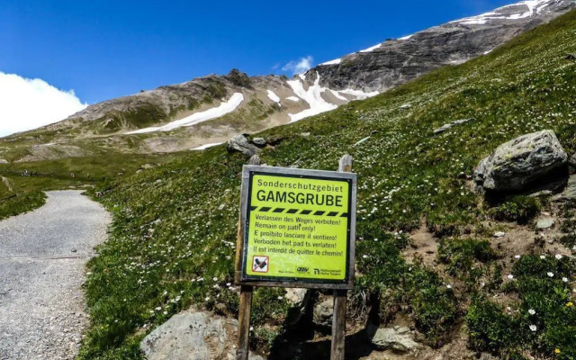 Landhaus Alpenrose - Feriendomizile Pichler