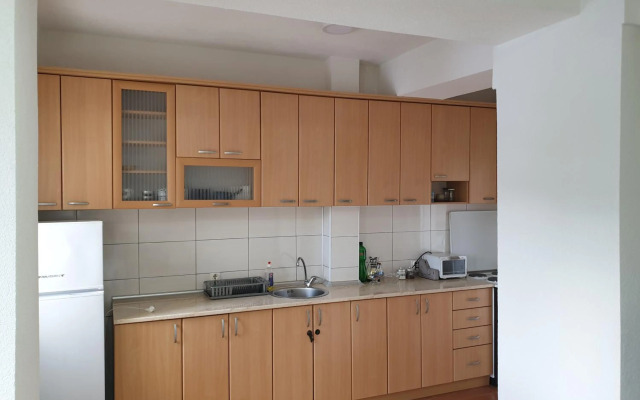 Comfortable apartment for a pleasant trip