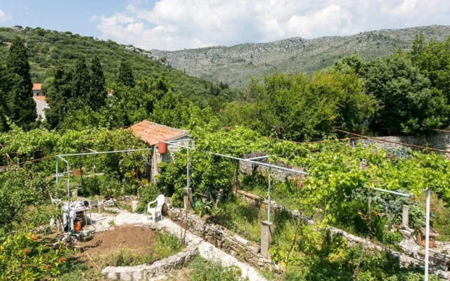 Guest House Zaton