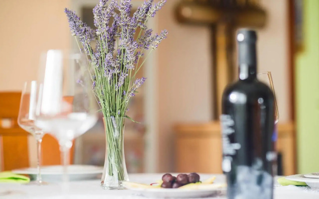 Kuća za odmor Boris