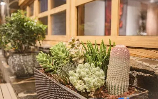 Wanfeng Forest Xihe - Mountain House B&B