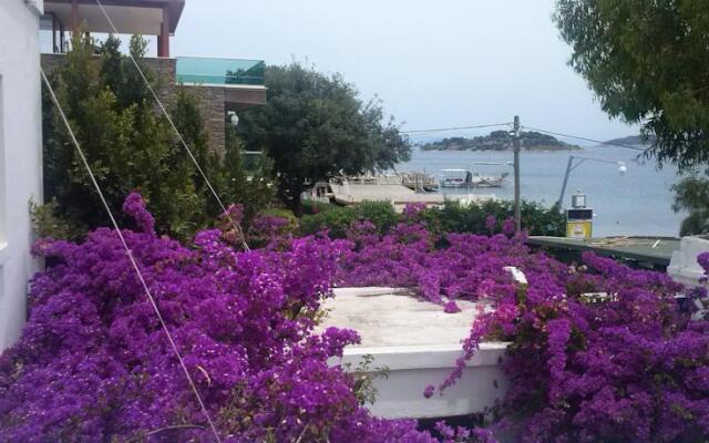 Fidele Otel