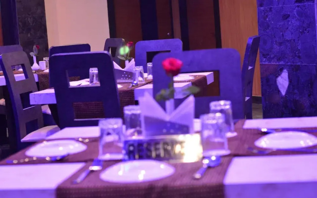 Dolphin Chocolate Inn