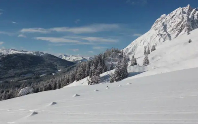 Ferienwohnung Schneebergblick