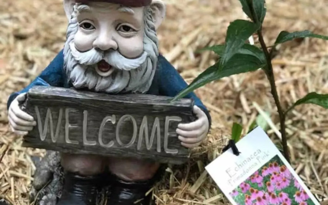 Tullys Hut - Walk to Hikes, Waterfalls, Views