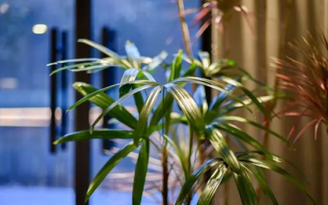 Qiuguo Hotel（Chaoyang store）