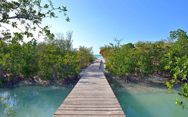 Sol Cayo Coco