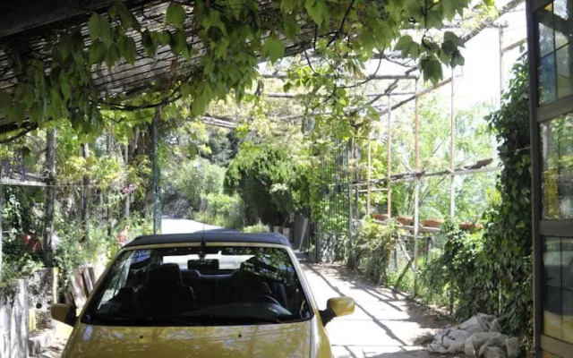 Principato di Elsinor