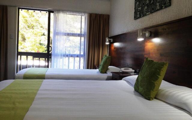 Hotel Paihia