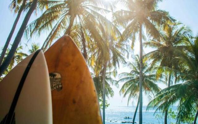 Thulusdhoo Surf Camp