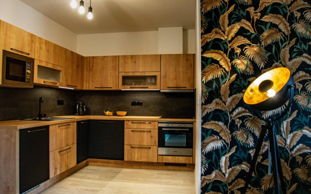 Apartmán Rezidence Rokytnice