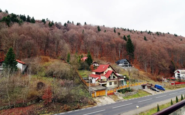 Vlad Studio