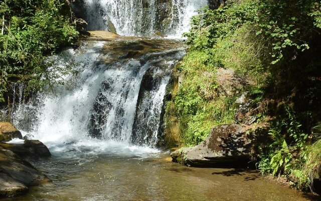 Urlaub am Bauernhof Gänser