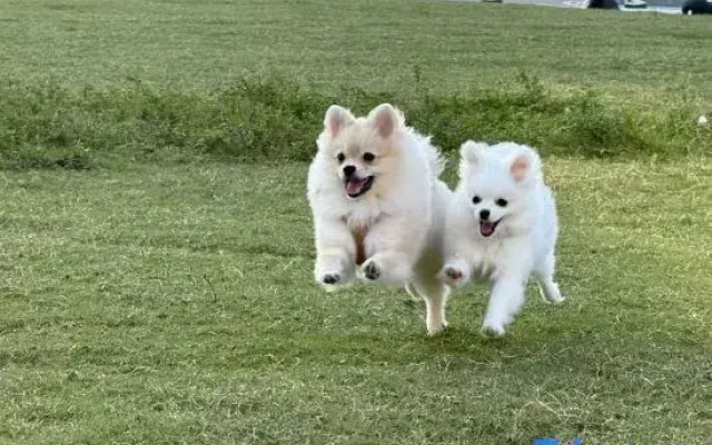 Wanda Plaza Rongjingwan Hotel (Wanda Metro Station Branch), Jinhua City