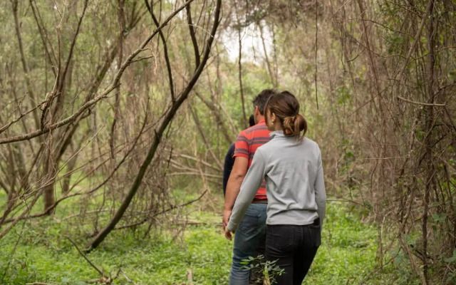 Glamping Los Palmares