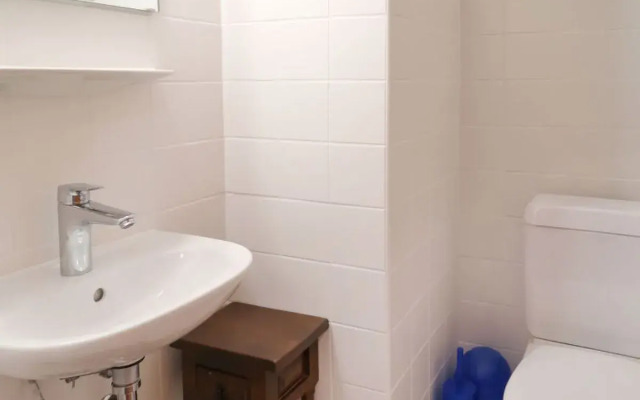 Bouleaux E 1 Nendaz in Nendaz