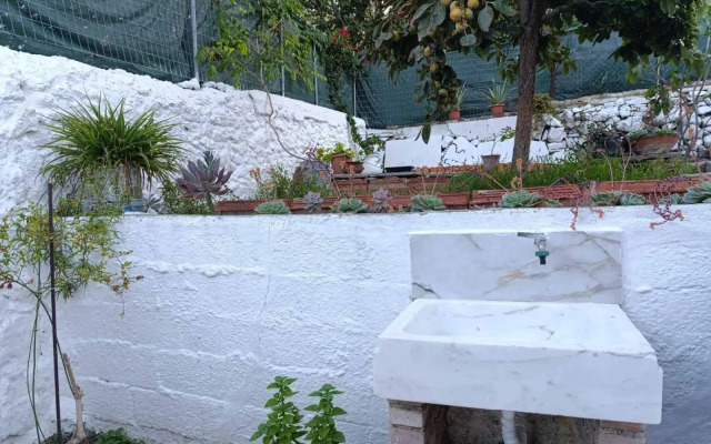 Jasmine Home by the Sea