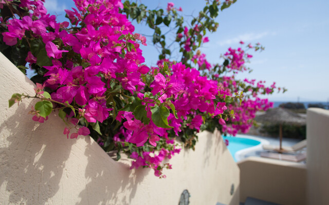 Kalypso Houses-Daphne, Sunny House For 6 Pr. Pool.