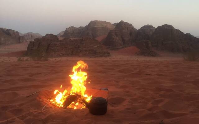 Wild Wadi Rum