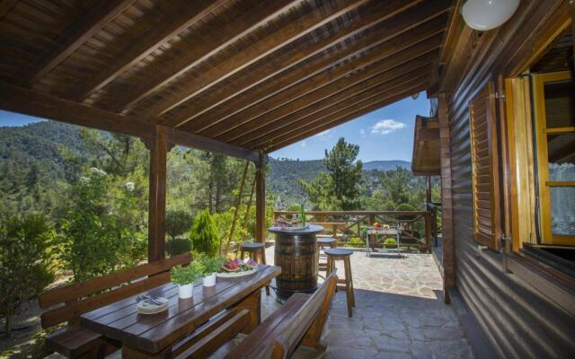 Ricky Chalet Near Troodos