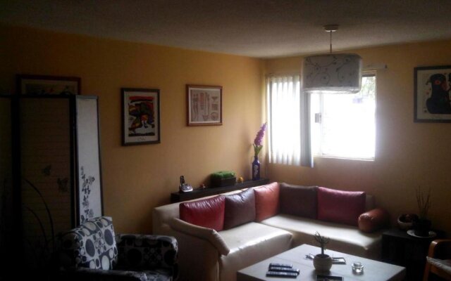Comfortable Apartment With Internet and 2tv Cables Near Coyoacand and la Unam